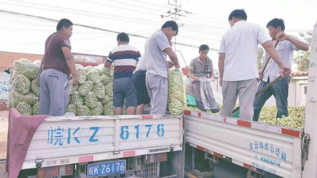 webwxgetmsgimg (8).jpg