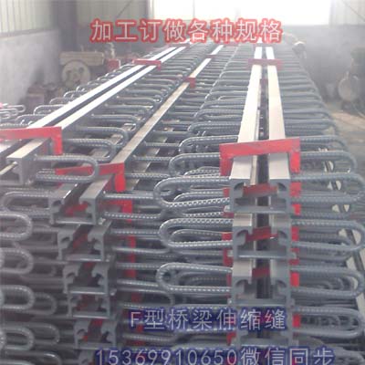 1513304508646898.jpg F型伸縮縫01.jpg