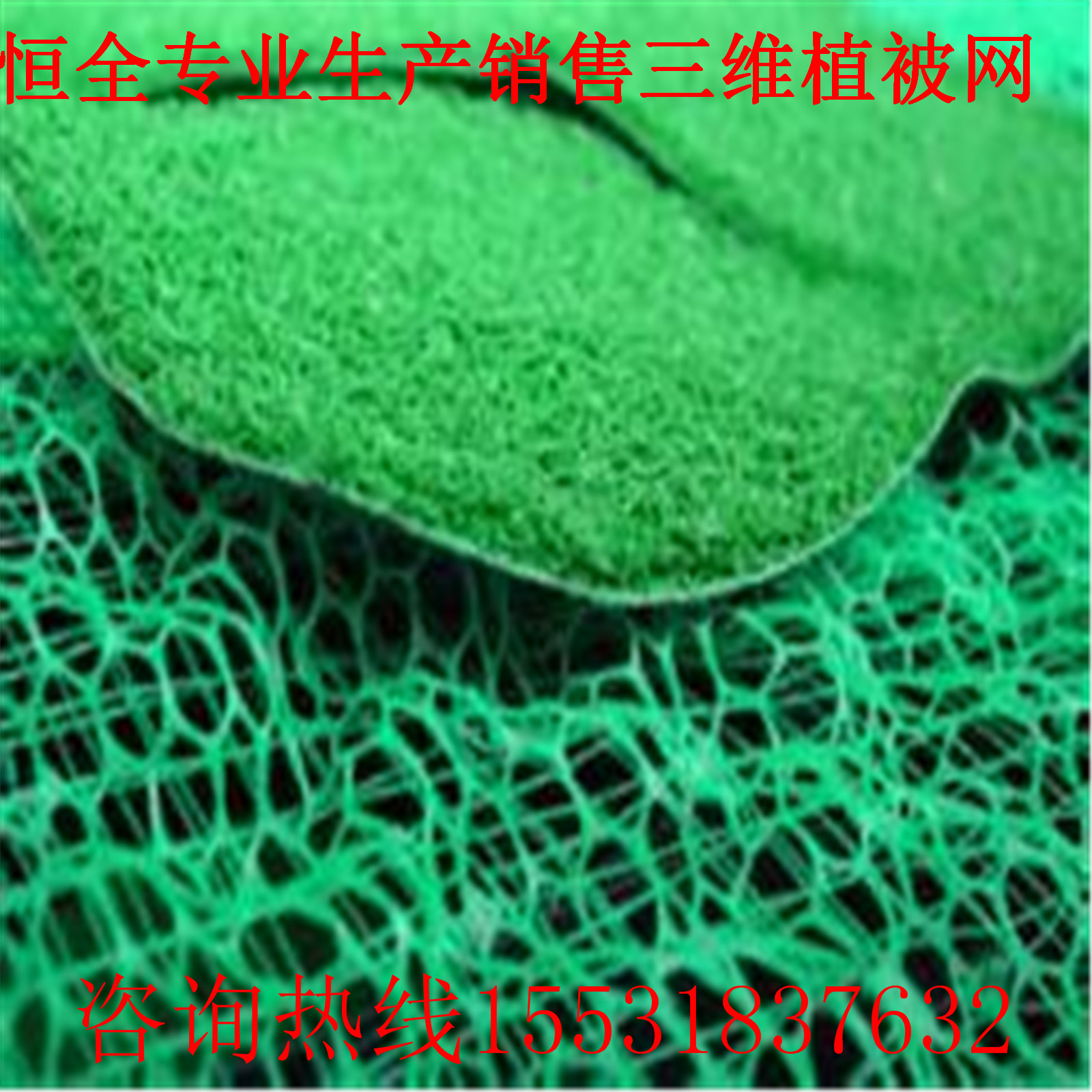 u=1773057438,3265440885&fm=23&