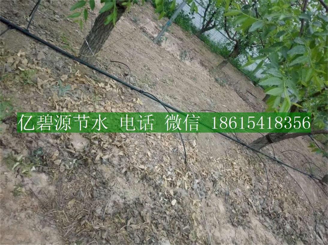 1470035178288760.jpg 果樹(shù)滴灌1.jpg