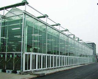 1463189049570848.jpg 頂陽(yáng)光板四圍玻璃 (2)_副本.jpg