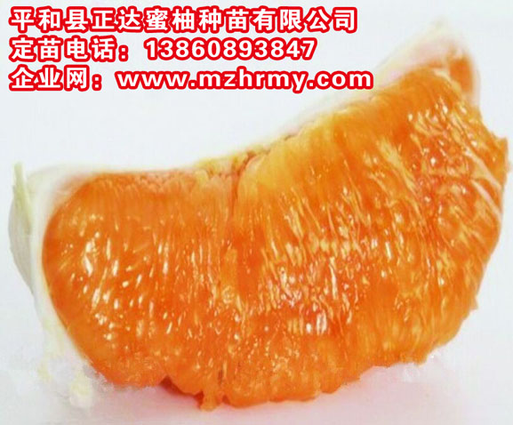 1476762636960908.jpg QQ圖片20150403141048.jpg