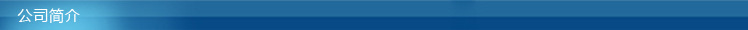 公司簡介