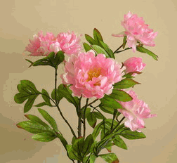 1502768371822917.jpg 1257751337.jpg