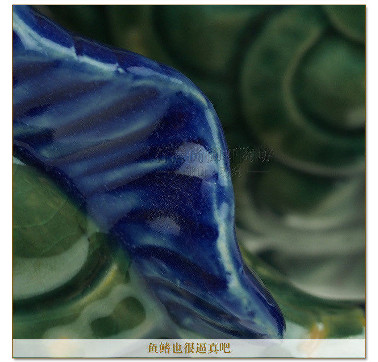 接吻魚詳情_(kāi)12