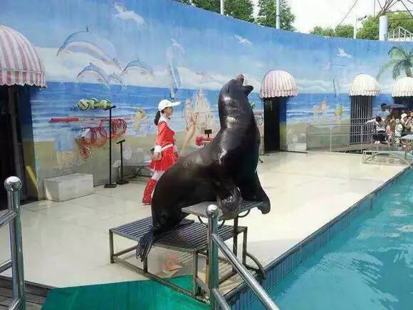 1513927453158349.jpg 1051366289.jpg