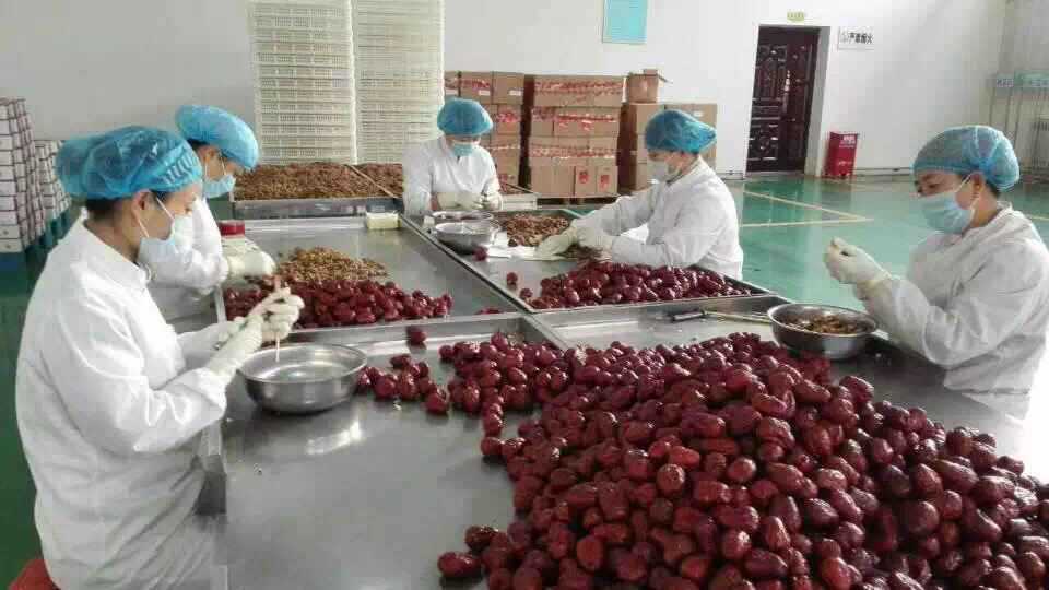 棗夾核桃 加工車(chē)間.jpg