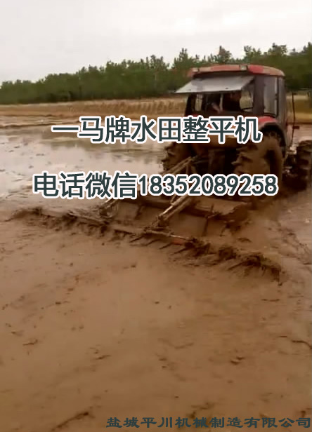 1506753231729044.jpg 大豐農(nóng)場P圖4.jpg