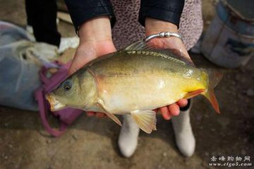 1473915348332003.jpg t0139af6d4fac595e9c.jpg