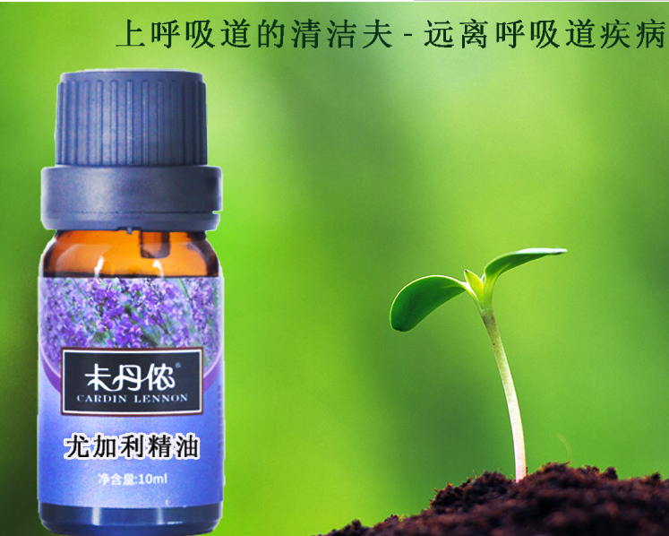 1492480450126928.png 1487396916(1).png