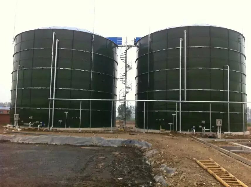 1464938842182598.jpg 罐6.jpg