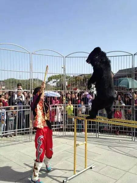 1513927450492001.jpg 1051366290.jpg