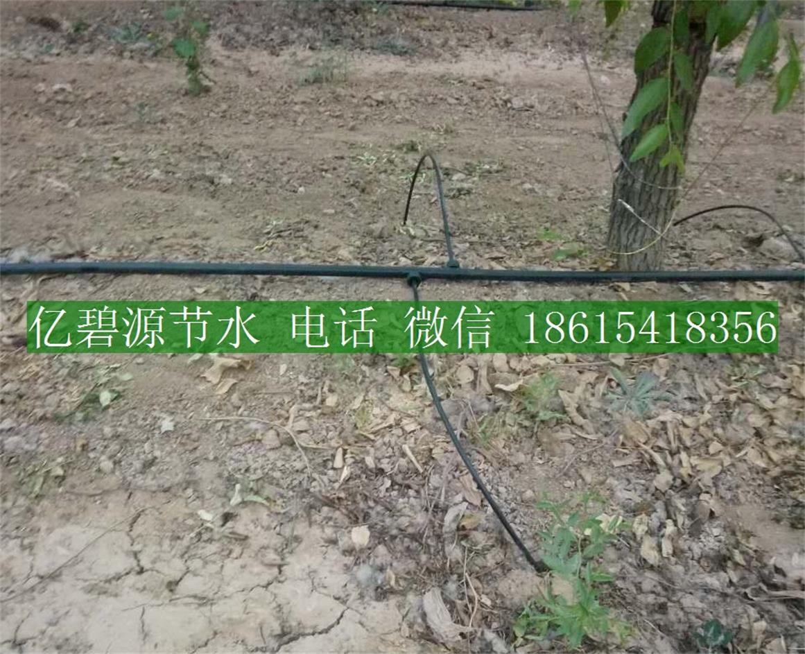 1470192531265855.jpg 果樹滴灌4.jpg