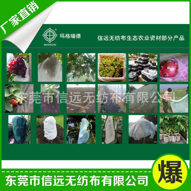 產(chǎn)品系列 大