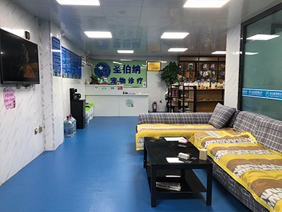 西寧圣伯納寵物醫(yī)院，寵物醫(yī)院