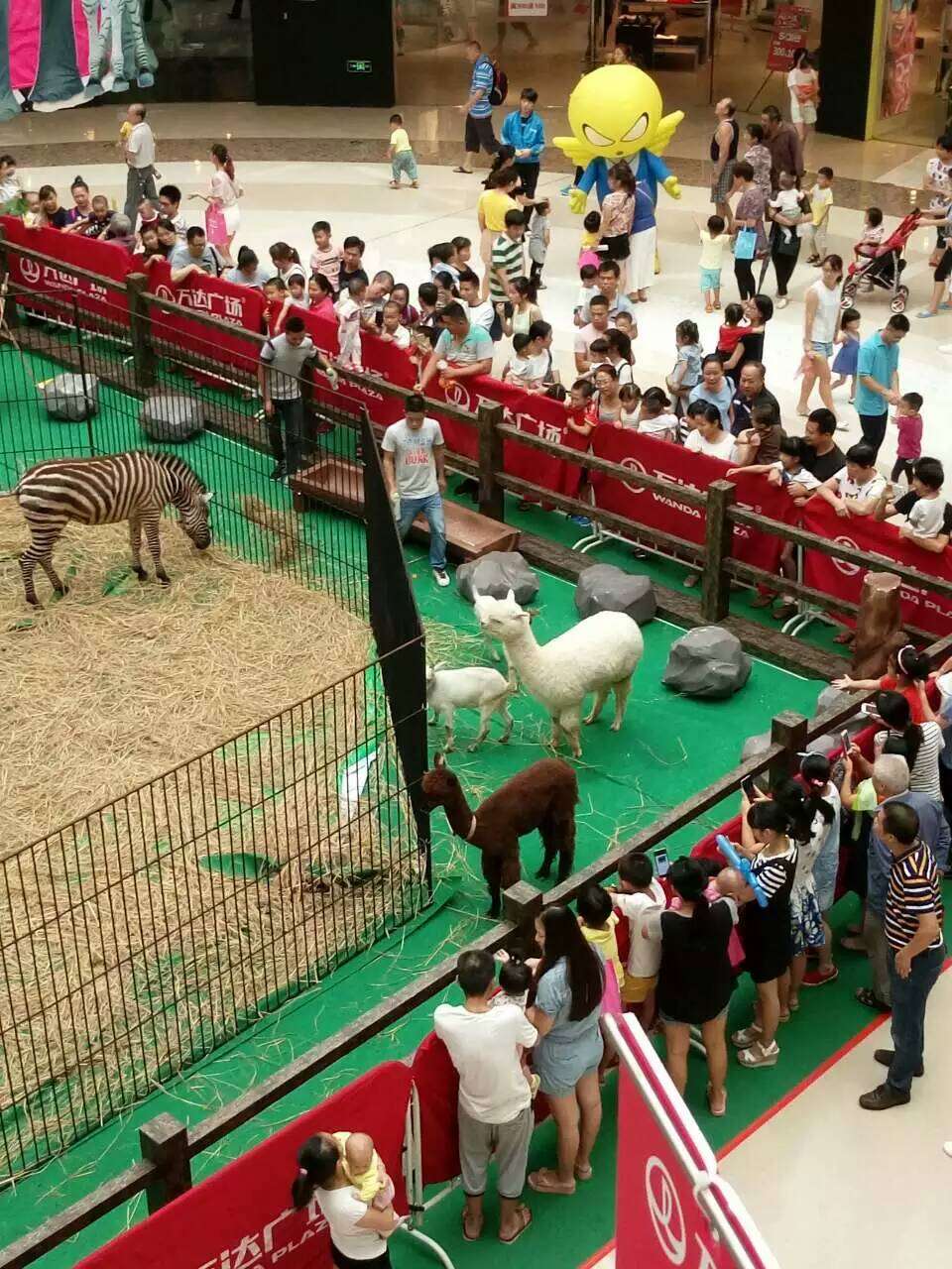 1513927430649300.jpg 1051366155.jpg