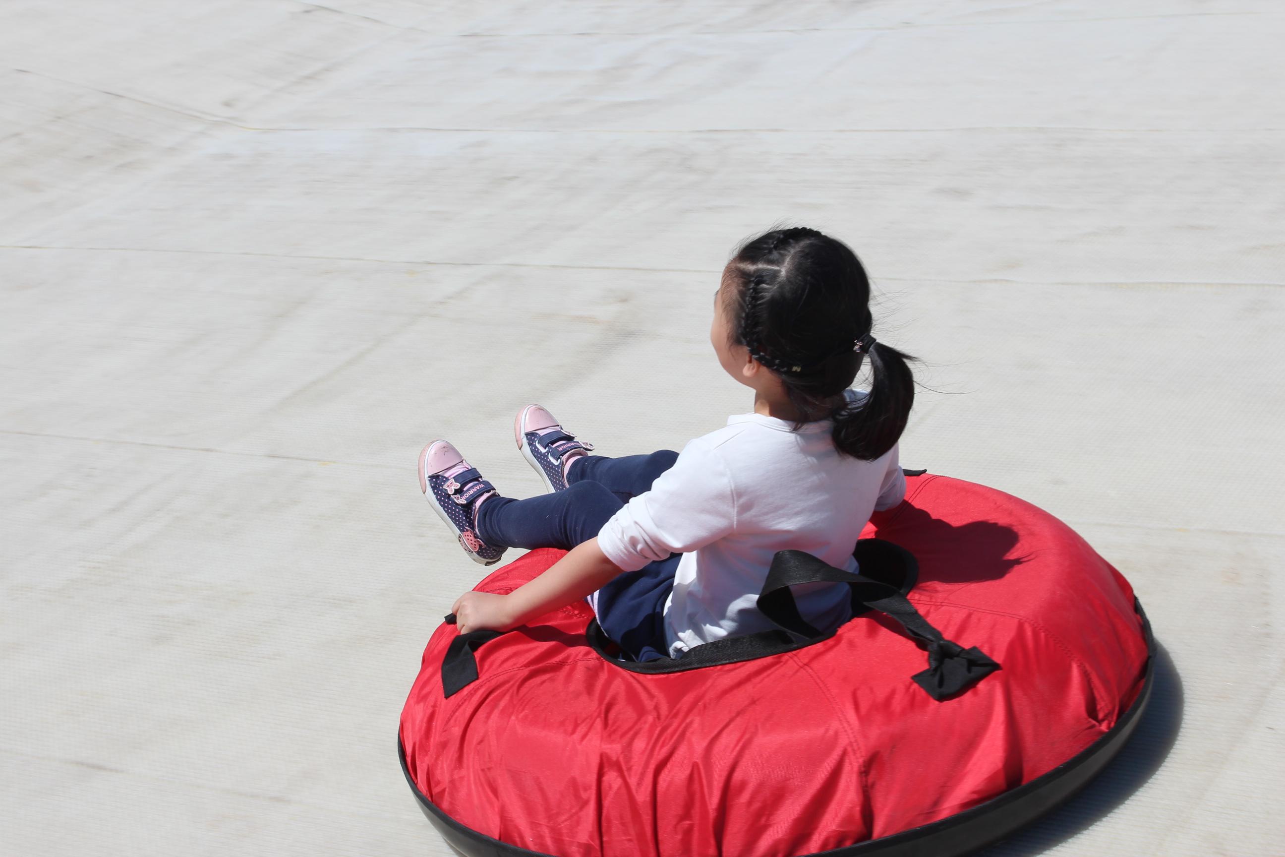 1513908724340980.jpg IMG_7074.JPG