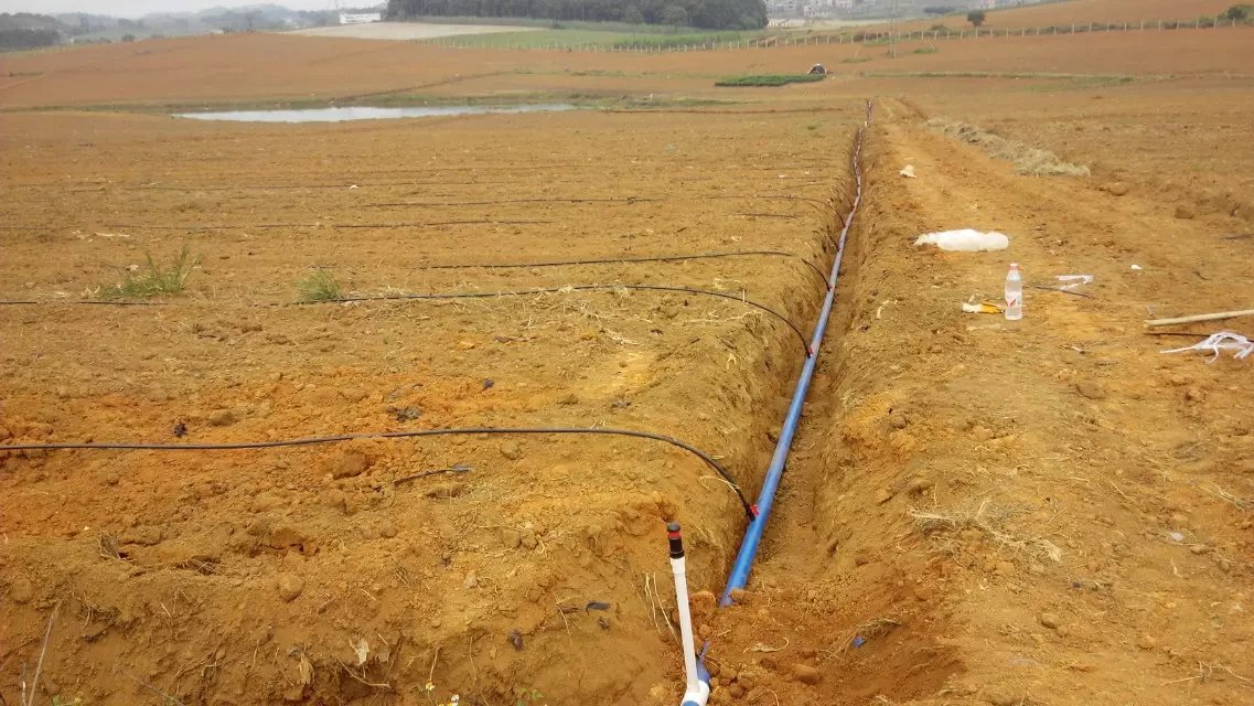 1470192121310175.jpg psb.jpg