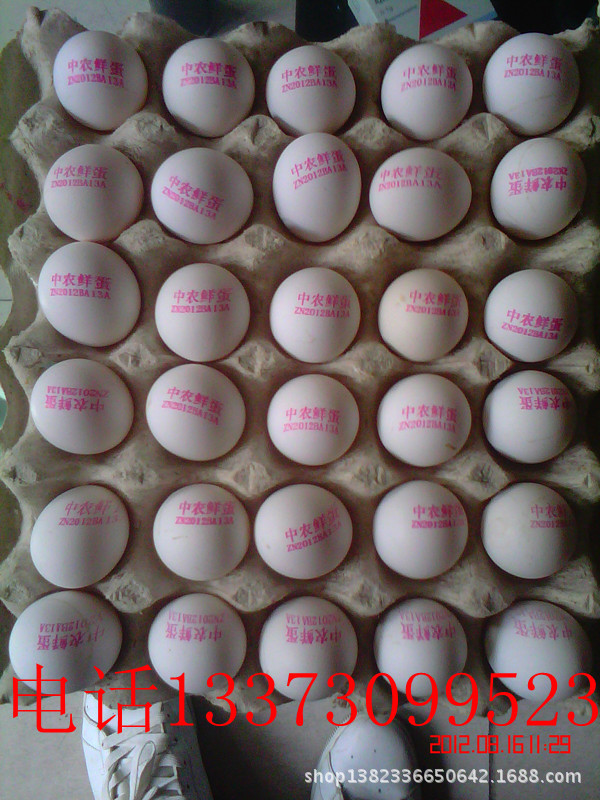 中農(nóng)鮮蛋1_副本