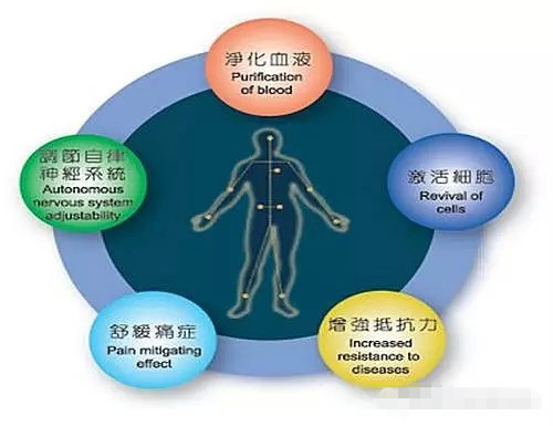 1503571877528660.jpg 1010.jpg