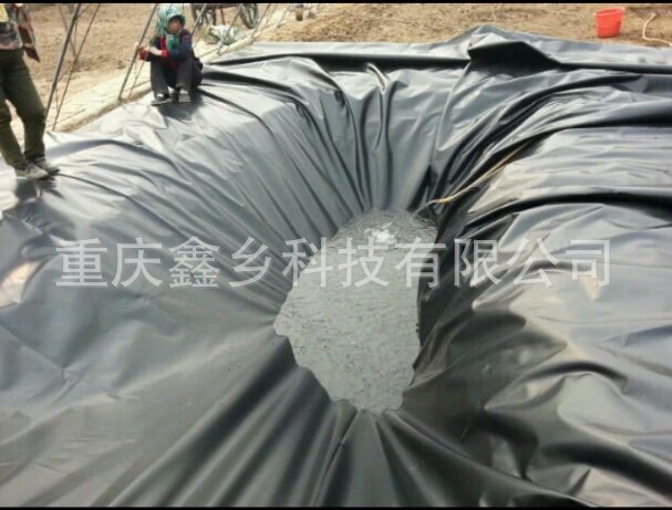 DIY景觀魚(yú)池鋪設(shè)